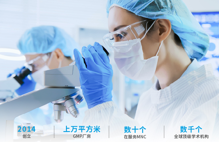 喜讯 | 祝贺派真生物顺利通过ISO27001信息安全管理体系认证