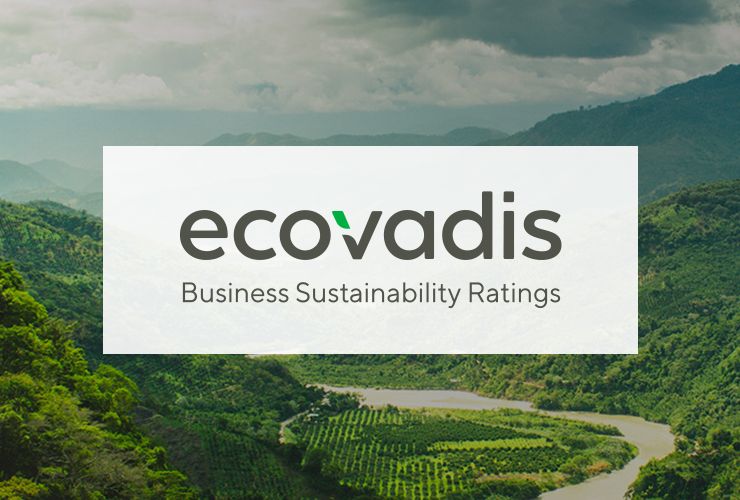 深入了解Ecovadis认证：企业可持续发展的全球标准