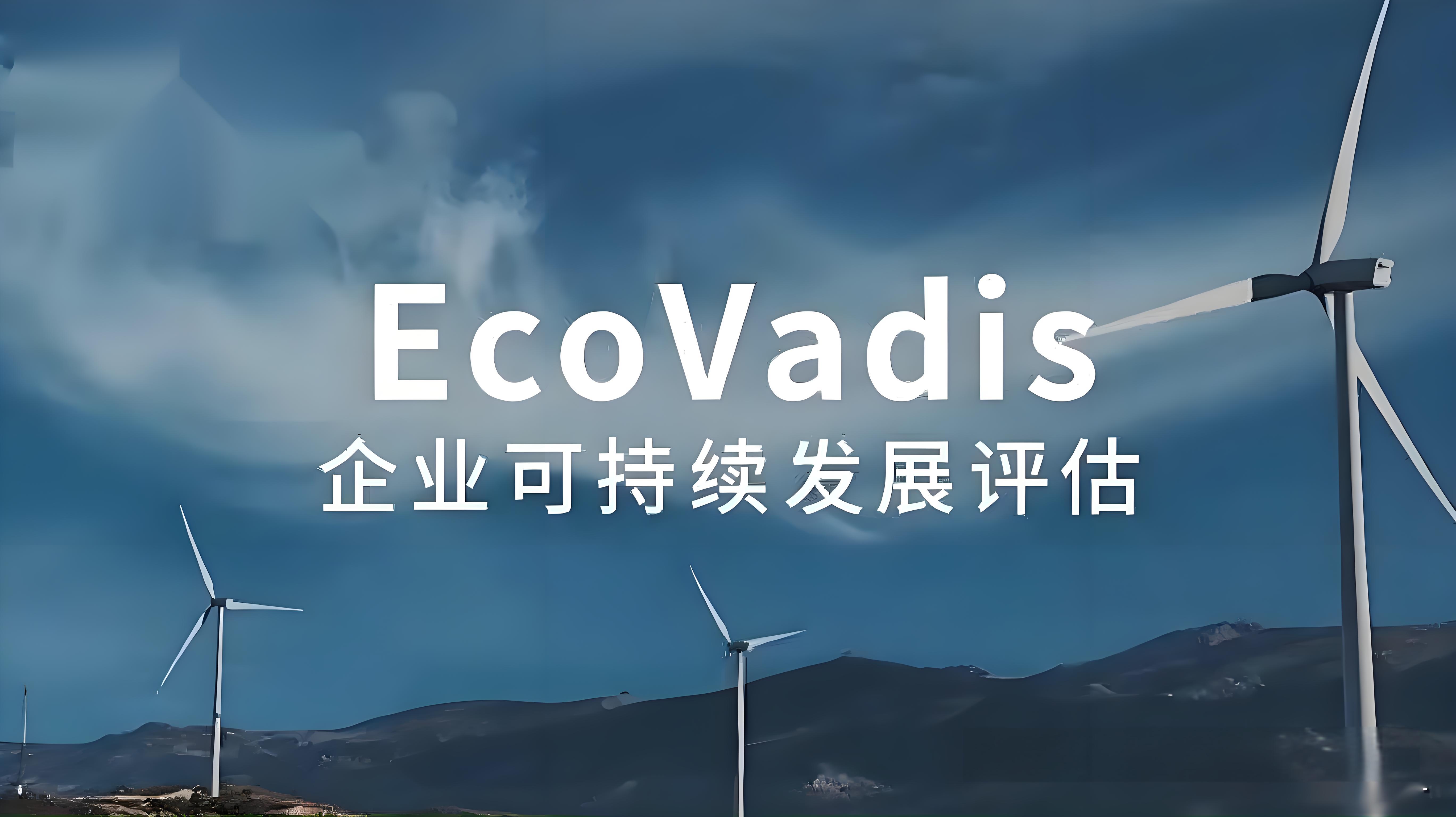 EcoVadis认证流程详解：步骤与关键要点