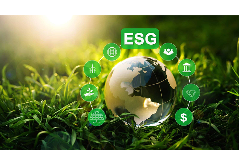 ESG，为何成为现代企业的“新必修课”？