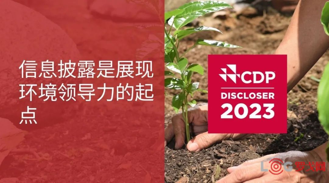 深入解析：CDP碳披露如何参与塑造公共政策